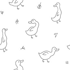 Cute Cartoon Duck Seamless Pattern, Vector Illustration Background