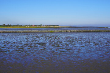Blick ins Wattenmeer bei Ebbe an der Nordseeküste in Butjadingen an einem sonnigen Herbsttag