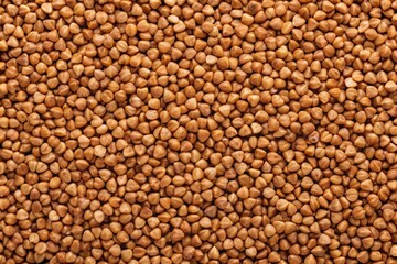 Uncooked brown buckwheat grains background