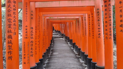Fushimi Inari Shrine red gates