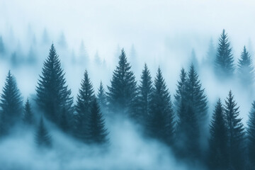 Obraz premium Winter landscape - frosty trees in winter forest in cold weather. 