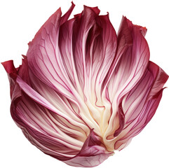 Fototapeta premium Red onion petals unfurling
