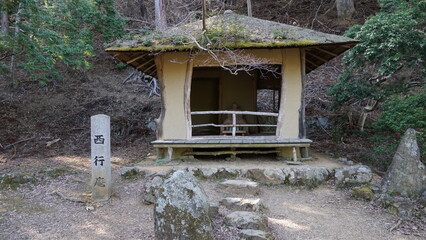Kansai region forest and sanctuary views