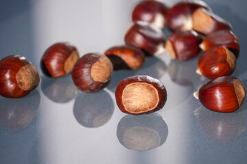 Sweet chestnut on a table in sunny light