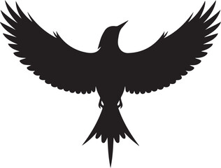 Vector bird black silhouettes white background