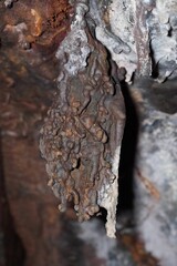 Old lava tube on Galapagos Islands with stalactite and stalagmite