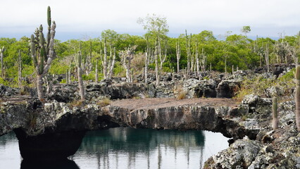 Desert and sea scenery at Los Tuneles