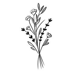 Obraz premium Flowers Element Vector