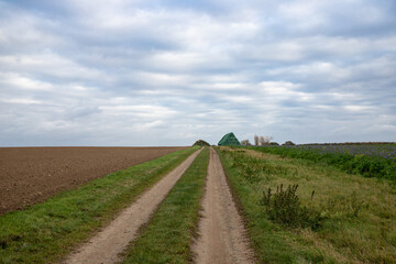Panoramic view on a dirt road in September with corn, rapeseed, sugar beet and few trees