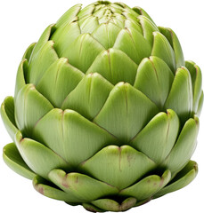 Obraz premium Green artichoke close-up