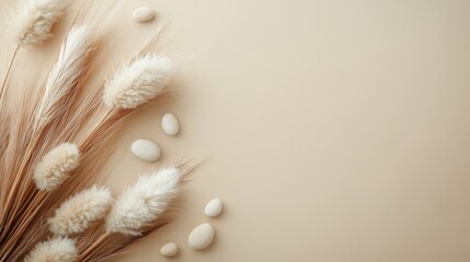 Beige Background with White Pampas Grass and Stones