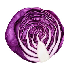 Obraz premium Purple cabbage, white isolate background