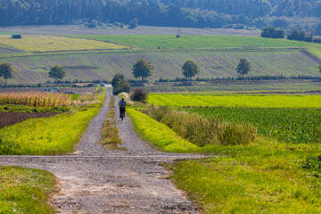Cyclist riding on a dirt road in September