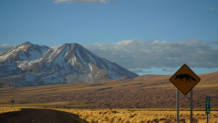 Fototapeta premium Fox sign alert of Atacama desert Altiplano