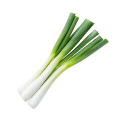 Fresh green leeks with white base isolated on a white background.