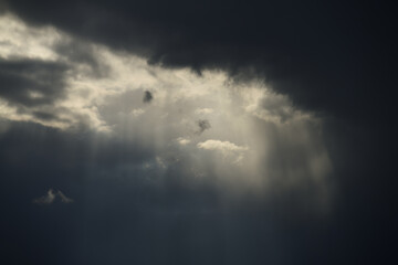 陽光のシャワー