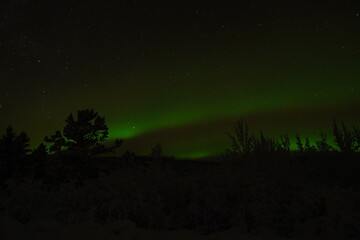 Northern Lights in Yukon Canada