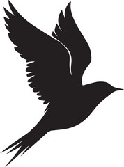 Vector bird black silhouettes white background