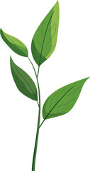 Green leaf sprig