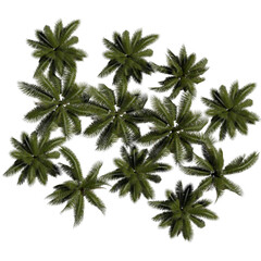 top view tree png architure plan