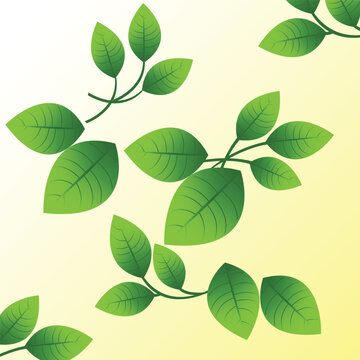 Green color beautiful Leaf pattern with branches