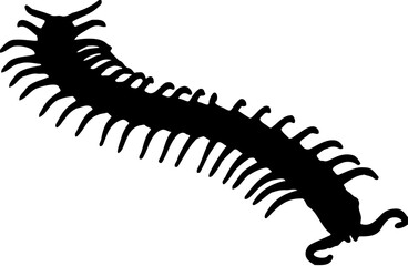 illustration of a centipede