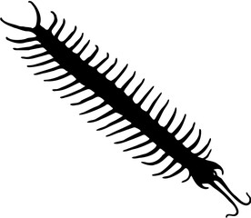 centipede of a silhouette