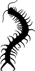 silhouette of a centipede