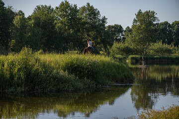Portrait of a young beautiful dark-haired girl with a horse outdoors.