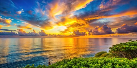 Obraz premium Colorful sunset over ocean and green bushes silhouette