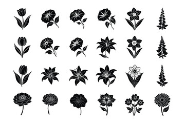 Popular Flower Varieties Vector Design – Vibrant Floral Illustrations