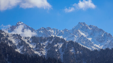 mountains in the snow