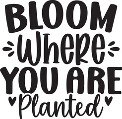Bloom Where You Are Planted
