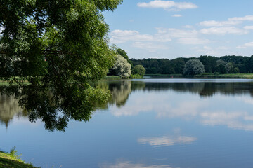 Tranquil river in a lush green park