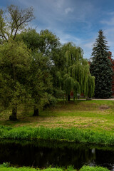 Tranquil river in a lush green park