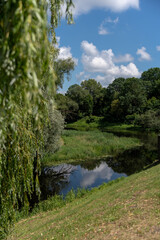 Tranquil river in a lush green park