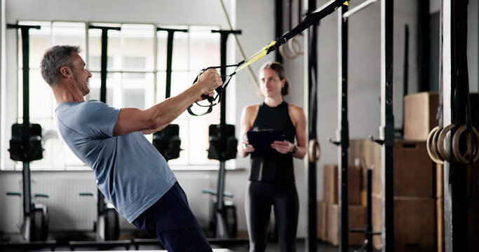 Suspension Training Workout. Sport Exercise In Gym - Powered by Adobe