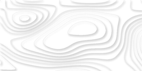 papercut background concept geometric abstract background, abstract.3d realistic papercut decoration textured with wavy layers, Geographic mountain relief diagram line wave carve pattern.	