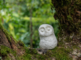 Flowers and plants in full bloom