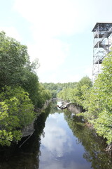 river with walls of lush mangrove trees