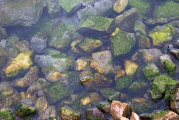 Mossy rocks in the sea