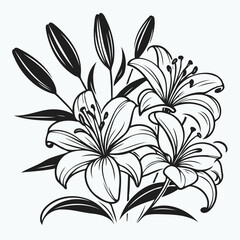 lilies sketch, lily flower
illustration outline of a flower
black and white line art, lineart
set of contour flower, line art of flowers, leaves
