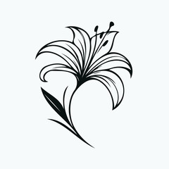 lilies sketch, lily flower
illustration outline of a flower
black and white line art, lineart
set of contour flower, line art of flowers, leaves
