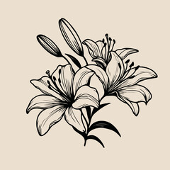 lilies sketch, lily flower
illustration outline of a flower
black and white line art, lineart
set of contour flower, line art of flowers, leaves