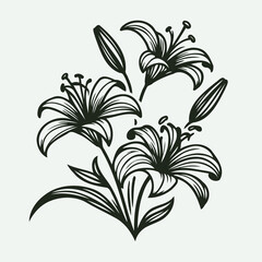 lilies sketch, lily flower
illustration outline of a flower
black and white line art, lineart
set of contour flower, line art of flowers, leaves