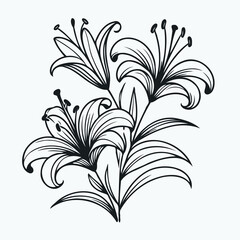 lilies sketch, lily flower
illustration outline of a flower
black and white line art, lineart
set of contour flower, line art of flowers, leaves