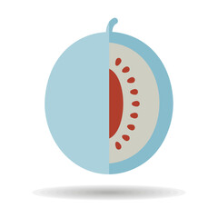 Melon isolated design vector icon. Fruit sign