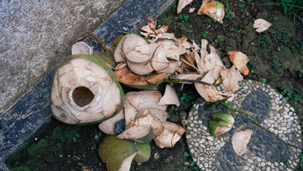 A pile of coconut husks scattered on the ground, blending organic materials with the earthy tones of the environment