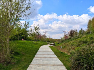 London, UK - 2023.04.17: People having a picnic in the near-empty and quiet London Blossom Garden among cherry blossom trees next to a tiled footpath under a blue sky on a sunny spring day
