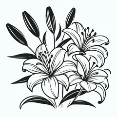 Adobe Illustrator Artwork
lilies sketch, lily flower
set of flowers vector
illustration outline of a flower
black and white line art, lineart